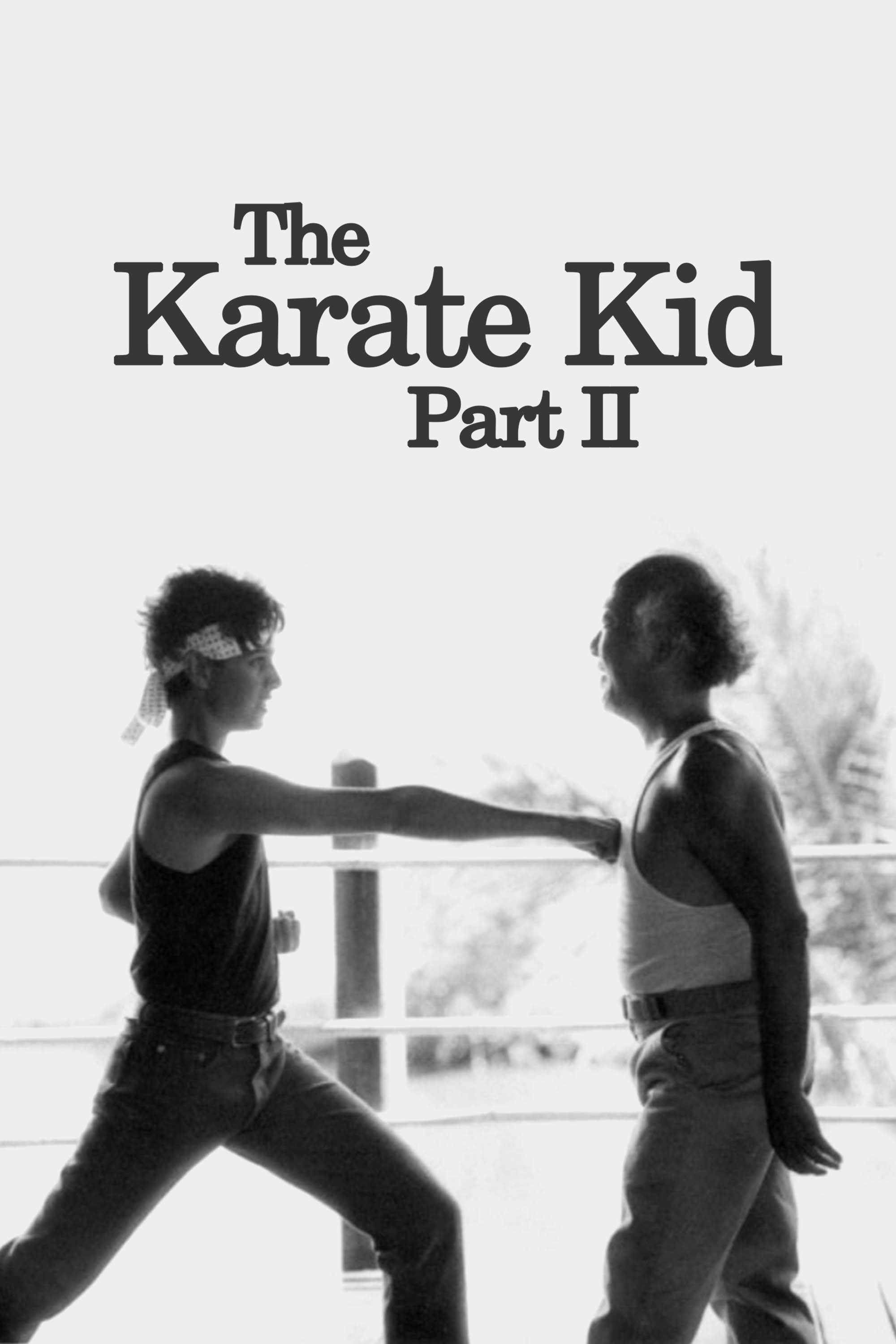 The Karate Kid Part II (1986) [150524] (A1669833861) [[Kids Movies]] --Plex--